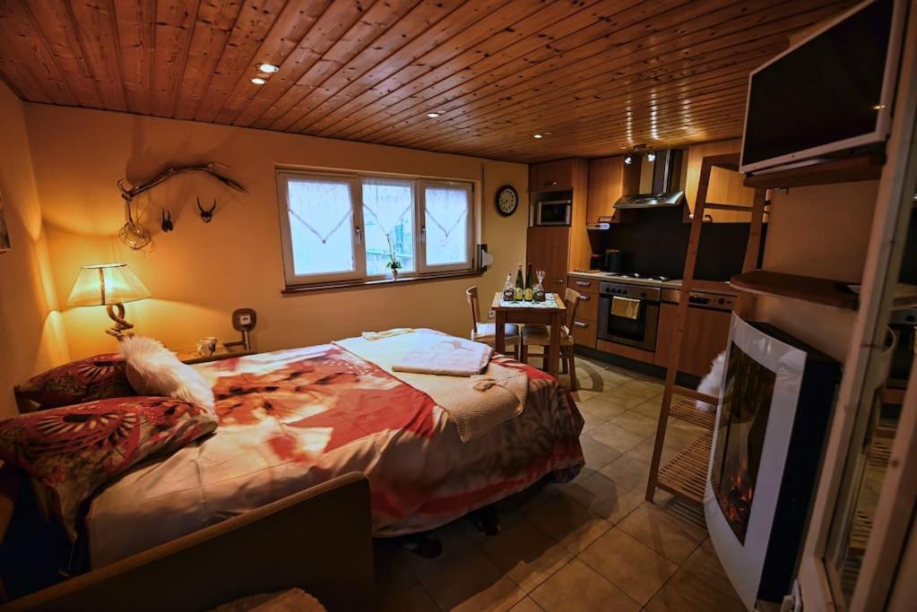 Appartement Les Chouchous Du Ried 3 / Proche Europapark à Saasenheim Extérieur photo